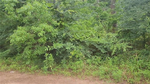 LOT8 Walnut Tree Ln, Plantersville, TX 77363 - photo 5