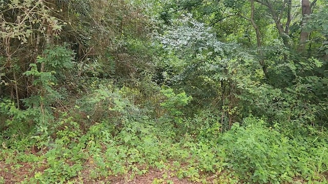 LOT8 Walnut Tree Ln, Plantersville, TX 77363 - photo 12
