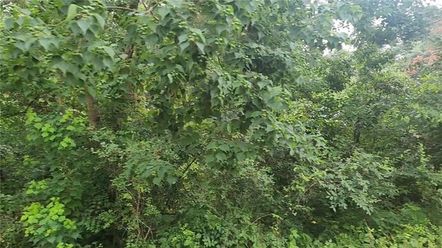 LOT8 Walnut Tree Ln, Plantersville, TX 77363 - photo 14