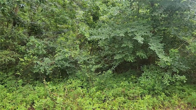 LOT8 Walnut Tree Ln, Plantersville, TX 77363 - photo 16