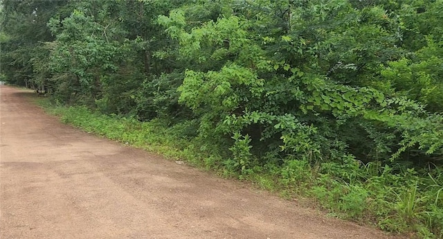LOT8 Walnut Tree Ln, Plantersville, TX 77363 - photo 7