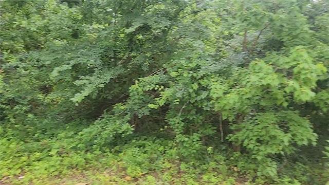 LOT8 Walnut Tree Ln, Plantersville, TX 77363 - photo 3