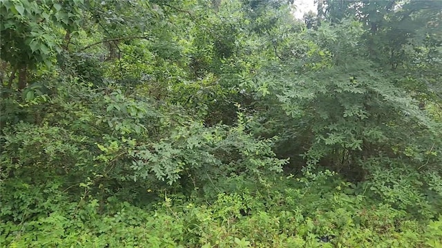 LOT8 Walnut Tree Ln, Plantersville, TX 77363 - photo 15