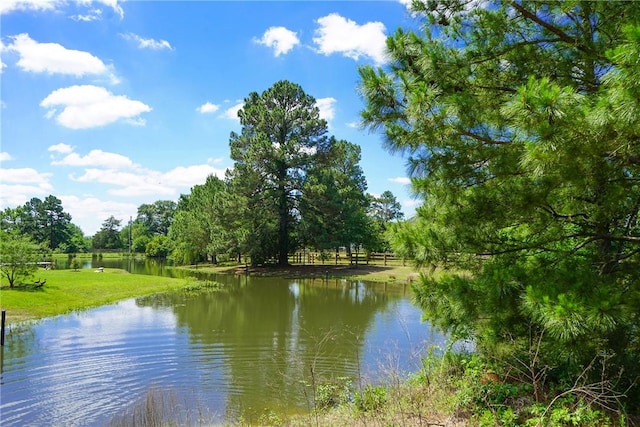 TBD Fm 3090, Anderson, TX 77830