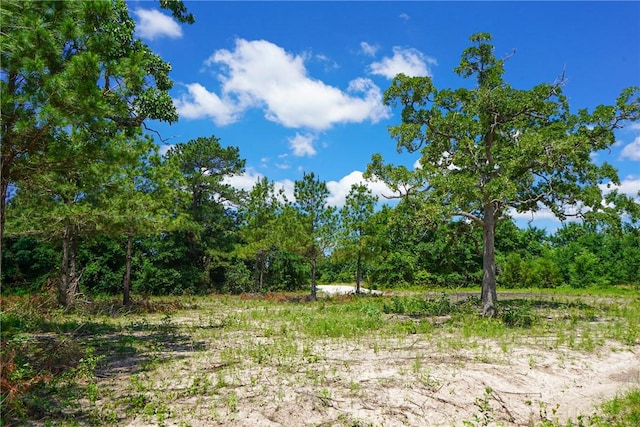 TBD Fm 3090, Anderson, TX 77830