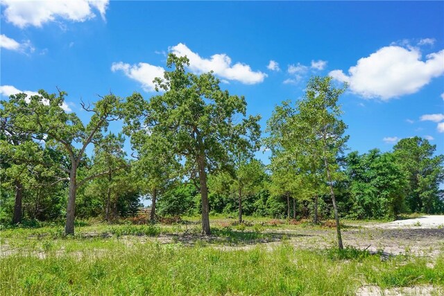 TBD Fm 3090, Anderson, TX 77830