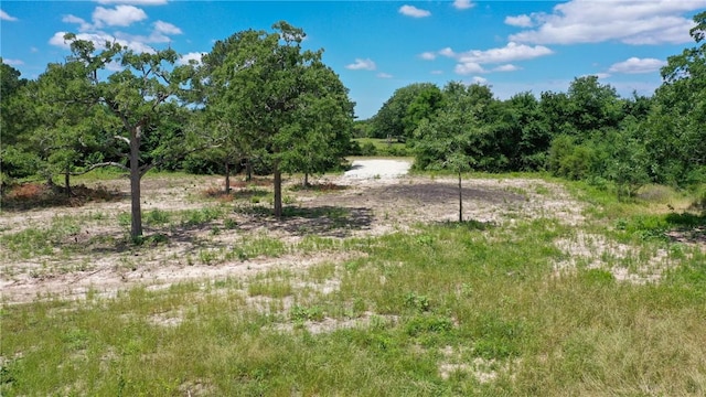 TBD Fm 3090, Anderson, TX 77830