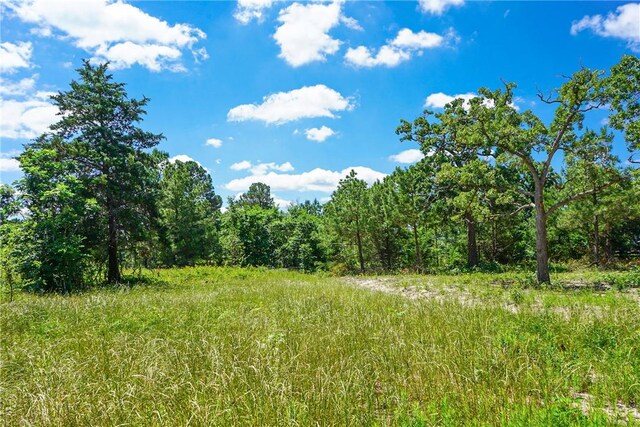 TBD Fm 3090, Anderson, TX 77830