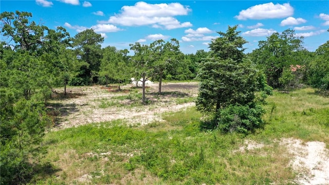 TBD Fm 3090, Anderson, TX 77830