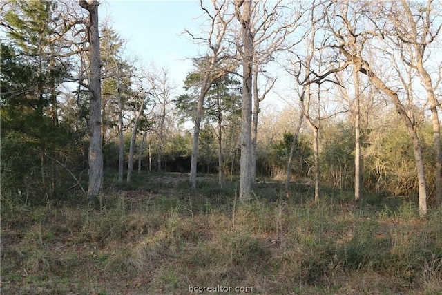 Listing photo 3 for 79 Lakefront Dr, Normangee TX 77871