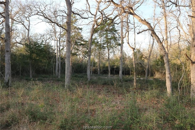 Listing photo 2 for 79 Lakefront Dr, Normangee TX 77871