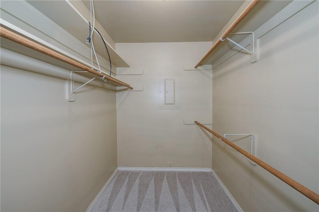 walk in closet with electric panel and carpet flooring