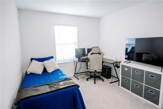 bedroom with carpet