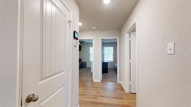 hall with light hardwood / wood-style flooring