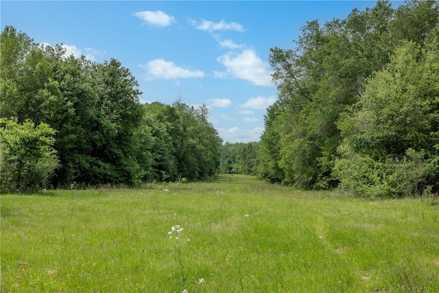 1600AC Fm 979, Franklin, TX 77856