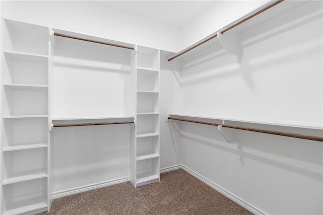 spacious closet with carpet