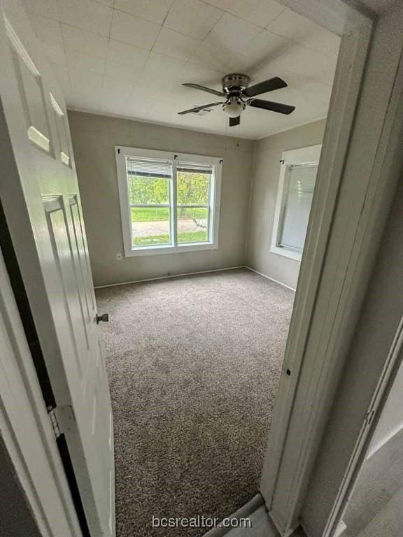 spare room with carpet floors and ceiling fan