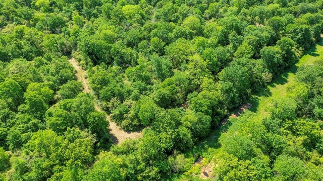 403AC Fm 977, Leona, TX 77871