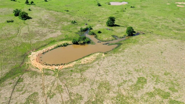 403AC Fm 977, Leona, TX 77871