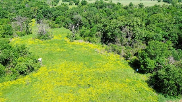 403AC Fm 977, Leona, TX 77871