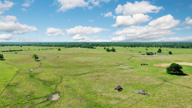 403AC Fm 977, Leona, TX 77871