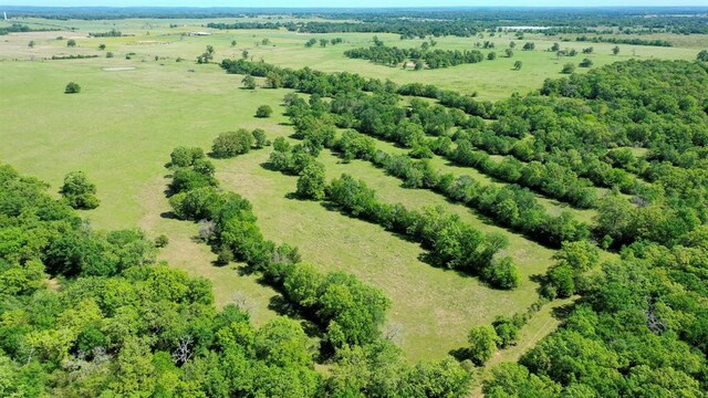 403AC Fm 977, Leona, TX 77871