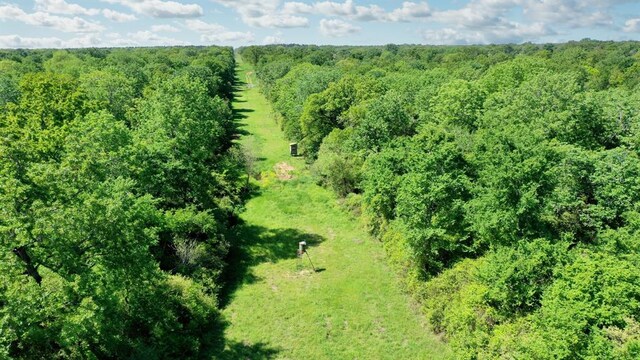 403AC Fm 977, Leona, TX 77871
