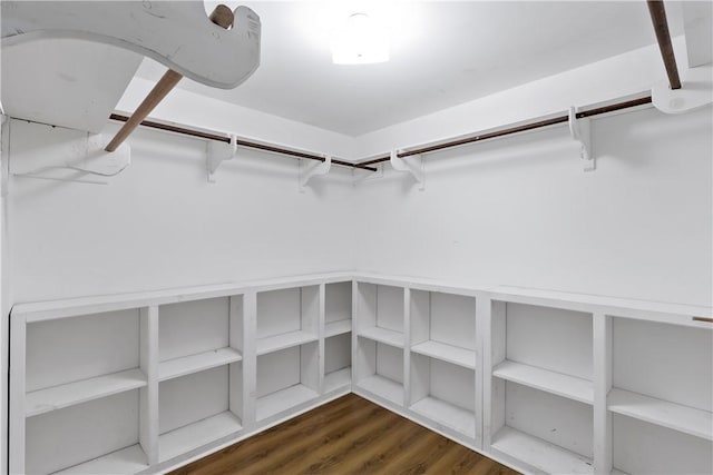 spacious closet with dark wood-type flooring