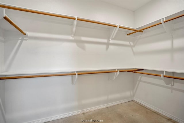 view of walk in closet