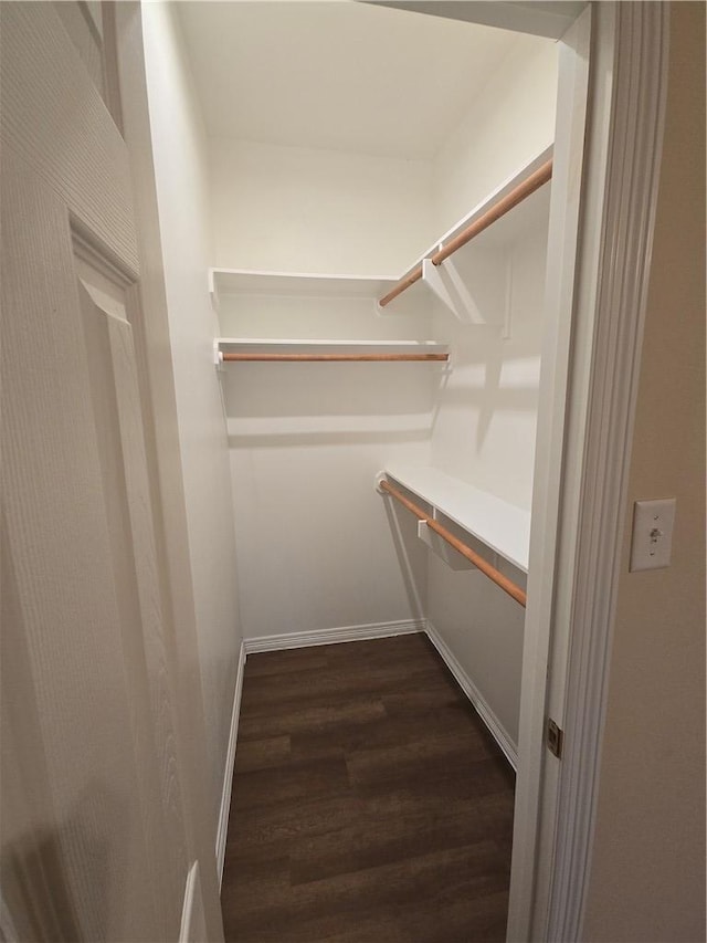 spacious closet featuring dark hardwood / wood-style flooring