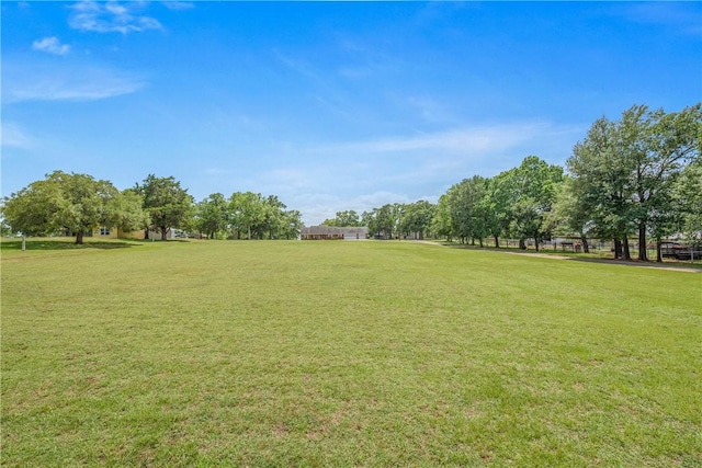 1110 County Road 439, Dime Box, TX 77853 - photo 4