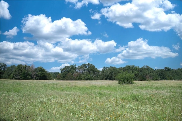 9769FM2096Franklin,Tx N Fm 2096 N, Franklin, TX 77856 - photo 7