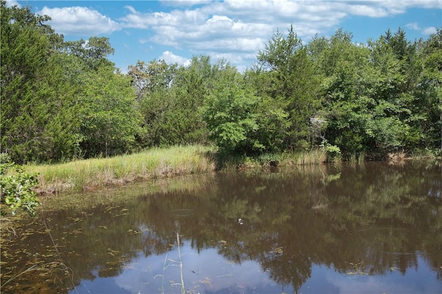 9769FM2096Franklin,Tx N Fm 2096 N, Franklin, TX 77856 - photo 13
