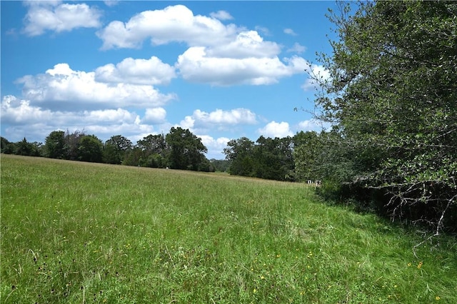 9769FM2096Franklin,Tx N Fm 2096 N, Franklin, TX 77856 - photo 24