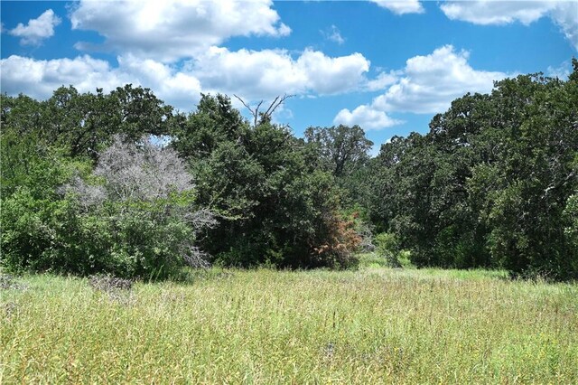 9769FM2096Franklin,Tx N Fm 2096 N, Franklin, TX 77856 - photo 29