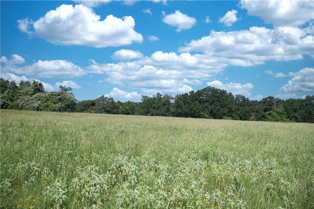 9769FM2096Franklin,Tx N Fm 2096 N, Franklin, TX 77856 - photo 6