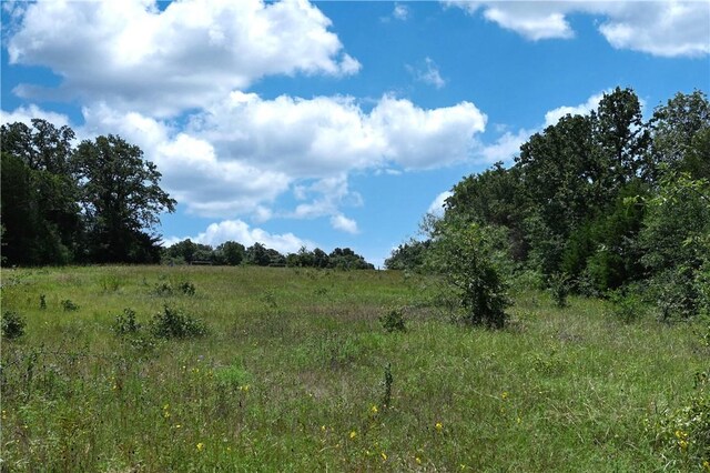 9769FM2096Franklin,Tx N Fm 2096 N, Franklin, TX 77856 - photo 19