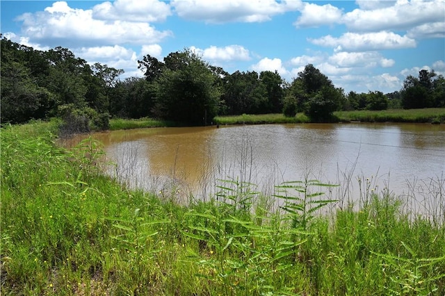 9769FM2096Franklin,Tx N Fm 2096 N, Franklin, TX 77856 - photo 8