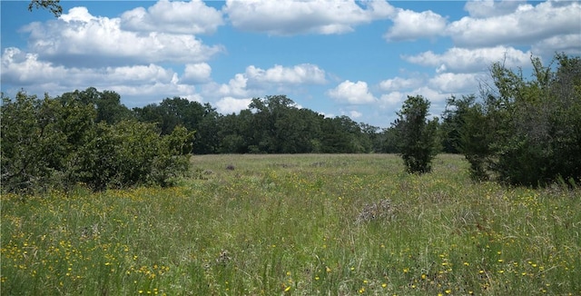 9769FM2096Franklin,Tx N Fm 2096 N, Franklin, TX 77856 - photo 28