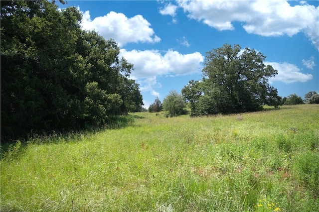 9769FM2096Franklin,Tx N Fm 2096 N, Franklin, TX 77856 - photo 4