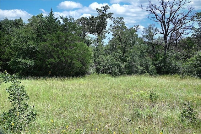 9769FM2096Franklin,Tx N Fm 2096 N, Franklin, TX 77856 - photo 17