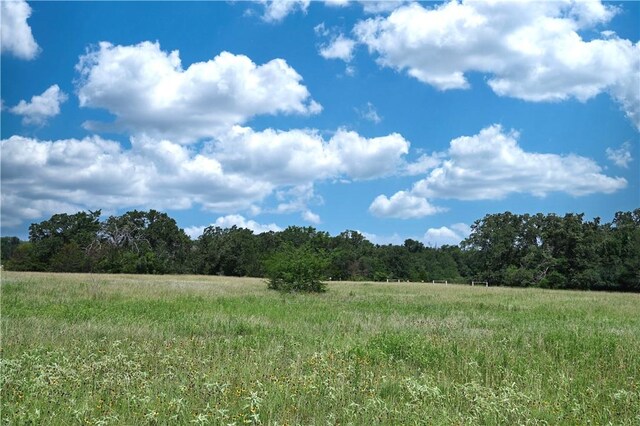 9769FM2096Franklin,Tx N Fm 2096 N, Franklin, TX 77856 - photo 12