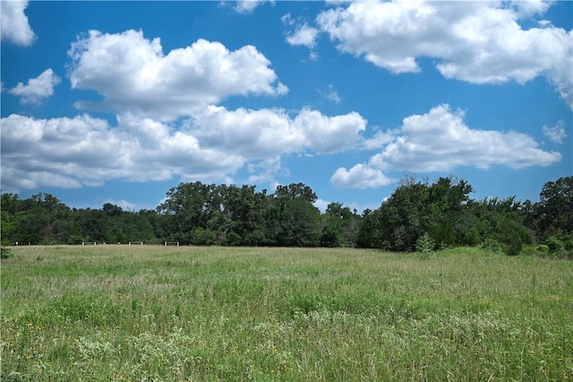 9769FM2096Franklin,Tx N Fm 2096 N, Franklin, TX 77856 - photo 11
