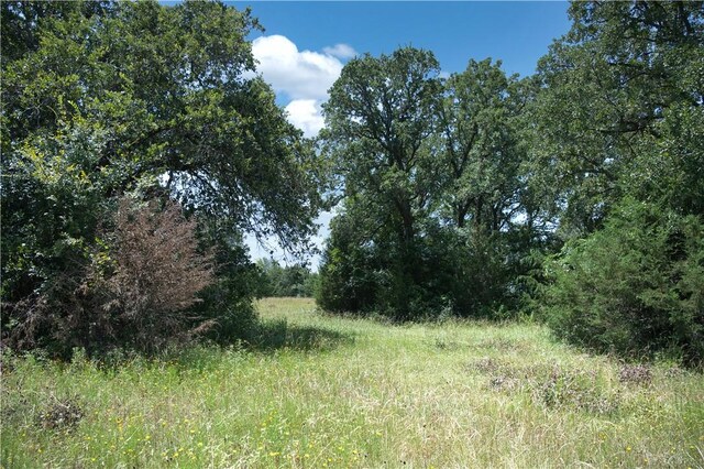 9769FM2096Franklin,Tx N Fm 2096 N, Franklin, TX 77856 - photo 26
