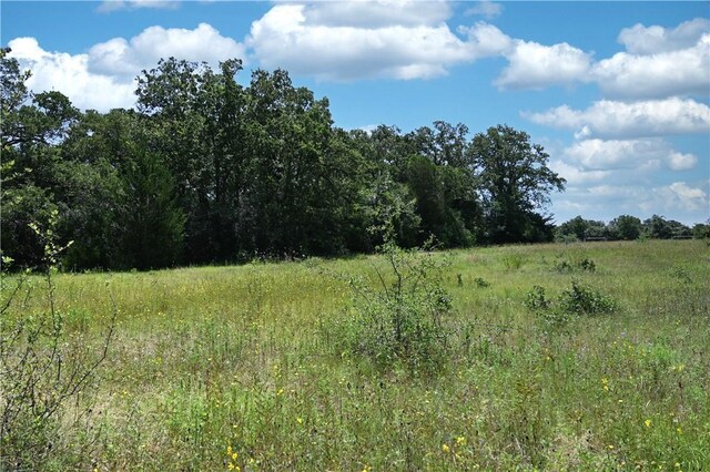 9769FM2096Franklin,Tx N Fm 2096 N, Franklin, TX 77856 - photo 18