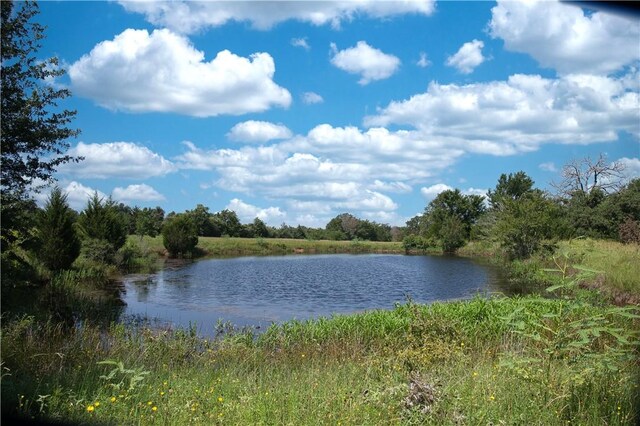 9769FM2096Franklin,Tx N Fm 2096 N, Franklin, TX 77856 - photo 10