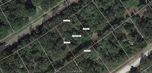 LOT53 Plum Ln, Hilltop Lakes TX, 77871 land for sale