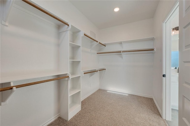 walk in closet with light colored carpet