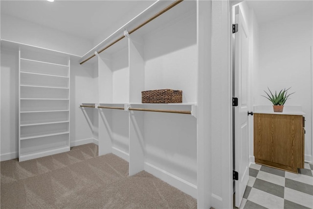 3576 Chantilly Path, Bryan, TX 77808 - walk in closet with light carpet