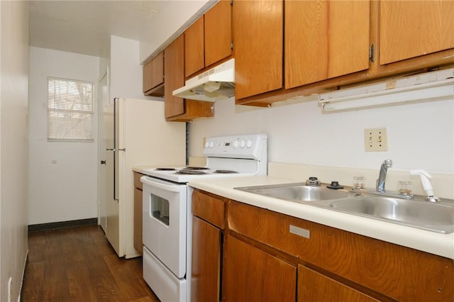 kitchen featuring dark hardwood / wood-style floors and white range with electric stovetop